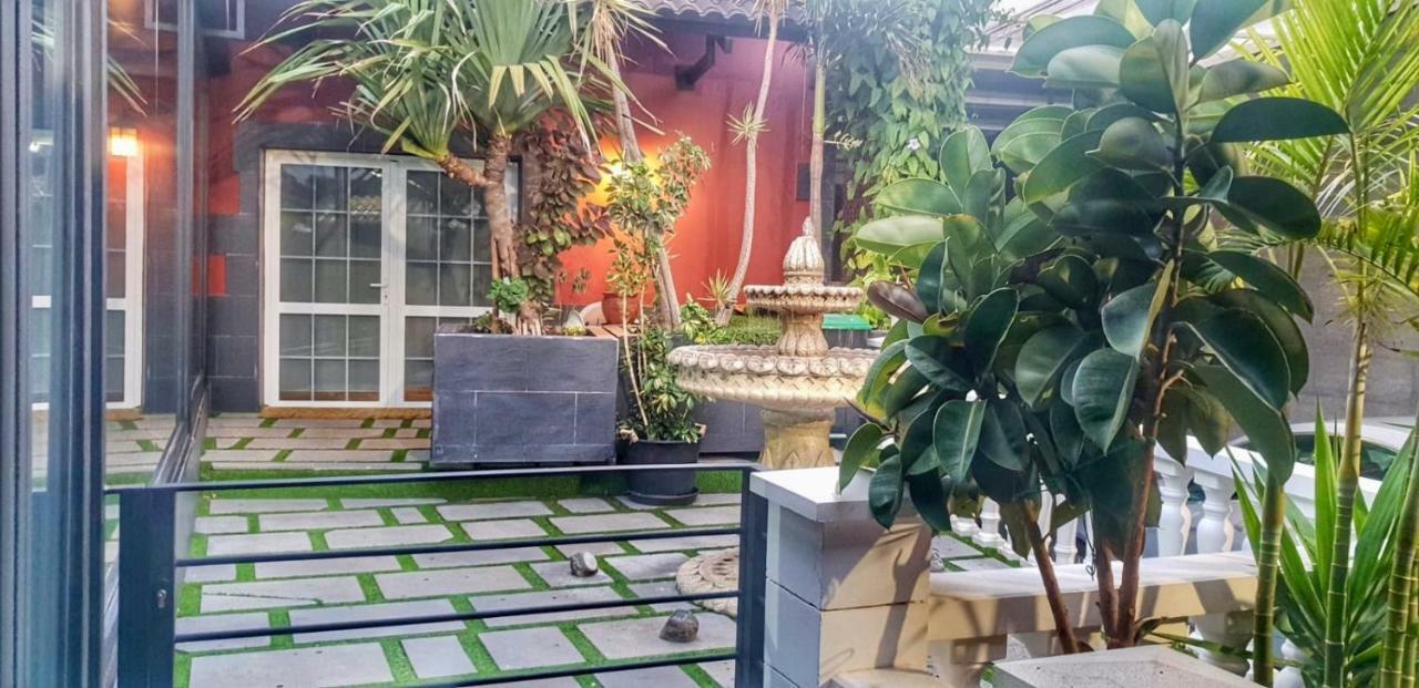 فيلا Casa Roque Aguayro أغيميس المظهر الخارجي الصورة